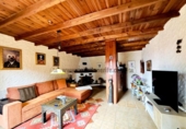 Xalet independent amb terreny en venda a la España, Icod de los Vinos, ref.: TR314574 foto