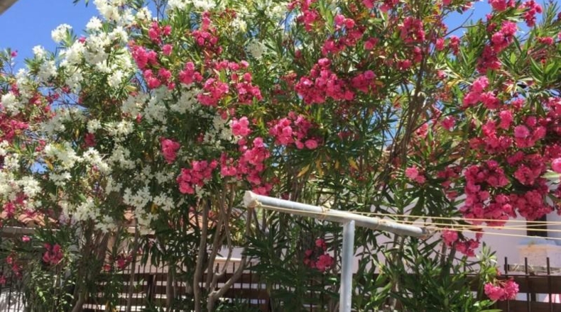 Gerona - Roses - 400m2