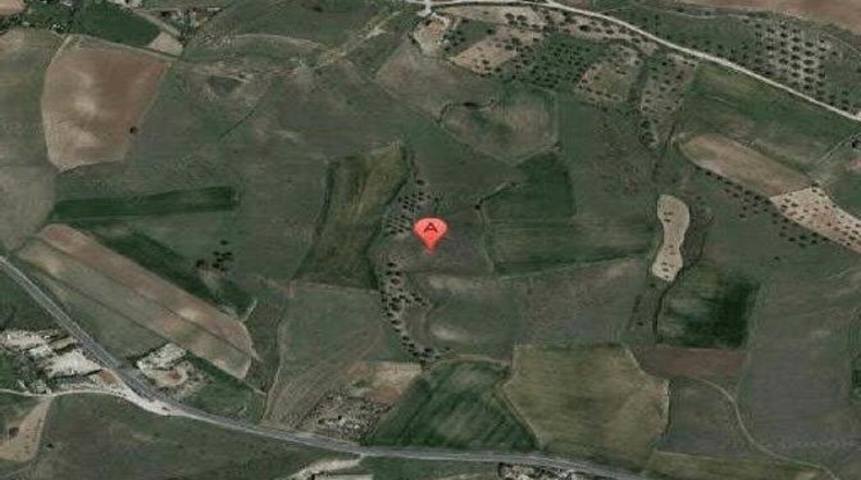 Community of Madrid - Navalcarnero - 11330m2