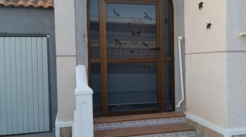 Alicante - Torrevieja - 387m2