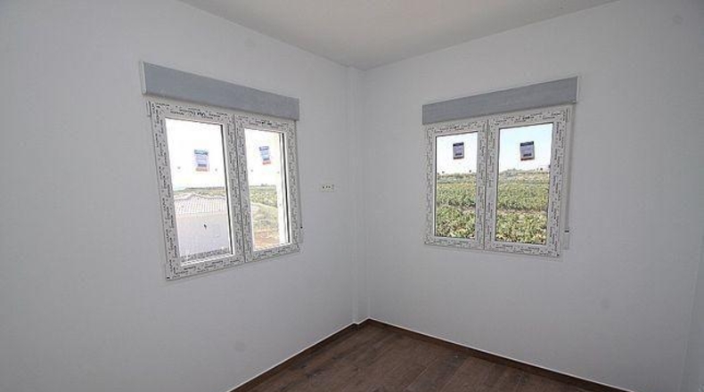 Alicante - Pinoso - 10000m2