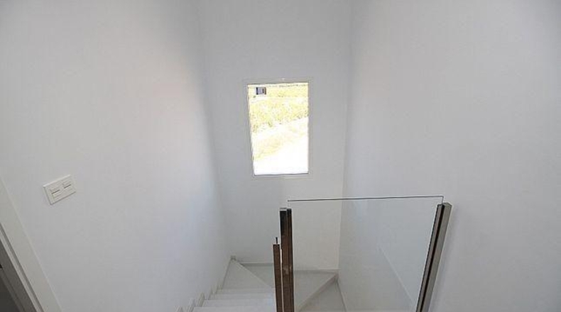 Alicante - Pinoso - 10000m2