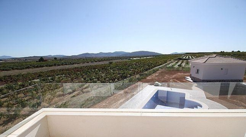 Alicante - Pinoso - 10000m2