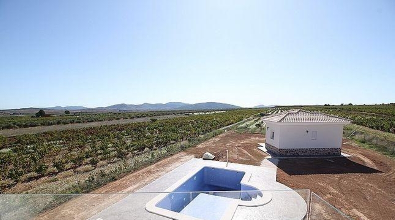 Alicante - Pinoso - 10000m2