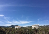 Xalet independent amb terreny en venda a la España, Elx, ref.: TR276153 foto