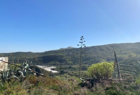 Valsequillo 777&nbsp;m² 