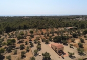 Chalet independiente con terreno en venta en la España, l'Ametlla de Mar, ref: TR153772 foto