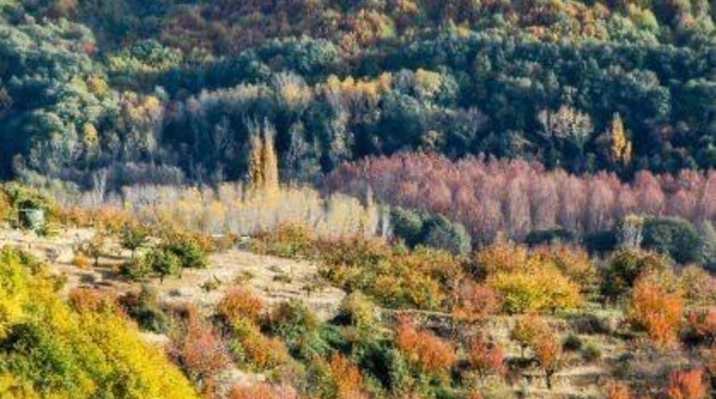 Caceres - Navaconcejo - 185m2