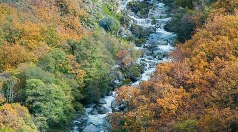 Caceres - Navaconcejo - 185m2