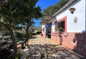 Casa de camp amb terreny en venda a la España, Guadalcanal, ref.: TR288182 foto