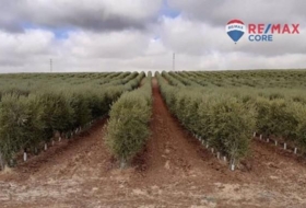 Alange 160000&nbsp;m² 