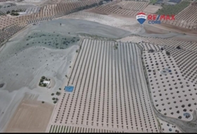 Alange 160000&nbsp;m² 