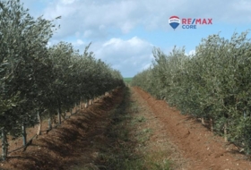 Alange 160000&nbsp;m² 