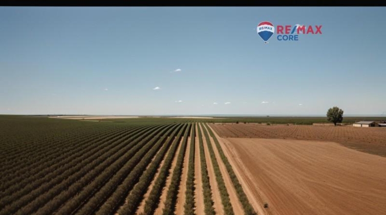 Бадахос - Alange - 160000m2