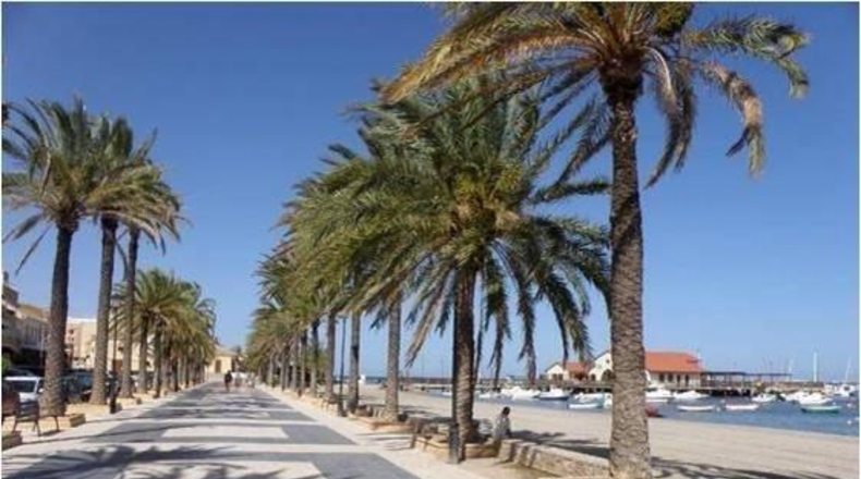 Murcia - Los Alcázares - 350m2