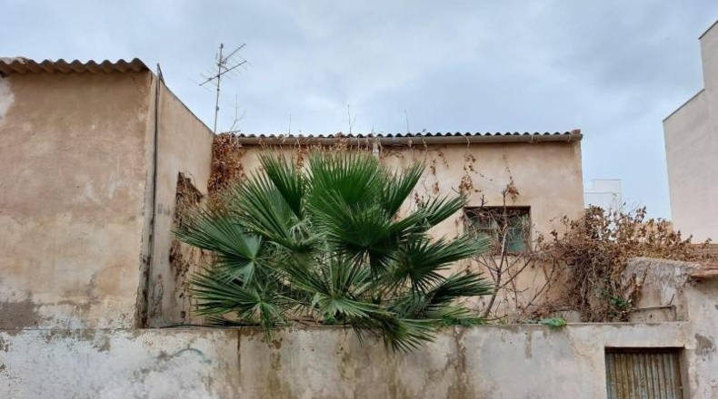 Almeria - Garrucha - 161m2