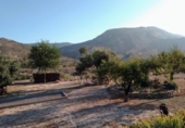 Casa de camp amb terreny en venda a la España, Relleu, ref.: TR286600 foto
