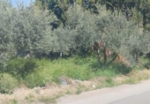 Земля на продажу у города Mutxamel Фото