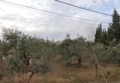 Земля на продажу у города Mutxamel Фото