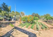 Finca rústica en venda a la España, Huércal-Overa, ref.: TR375811 foto