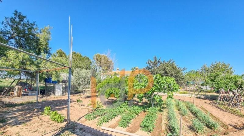 Almería - Huércal-Overa - 2600m2
