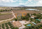 Finca rústica en venda a la España, Huércal-Overa, ref.: TR375811 foto