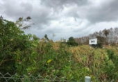 Sòl urbà en venda a la España, Los Barrios, ref.: TR370038 foto