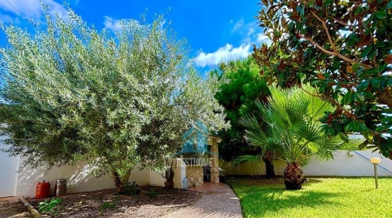 Valencia - Palma de Gandia - 890m2