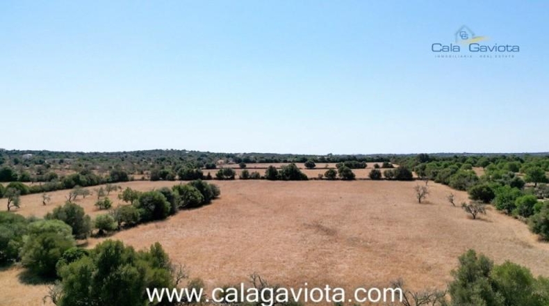 Balearic Islands - Las Salinas - 19000m2