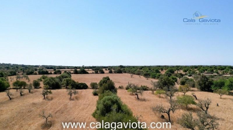 Balearic Islands - Las Salinas - 19000m2