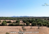 Non-developable land for sale on España, Ses Salines, ref: TR118376 photo