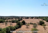 Non-developable land for sale on España, Ses Salines, ref: TR118376 photo