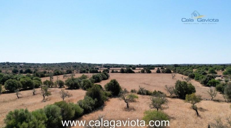 Balearic Islands - Las Salinas - 19000m2