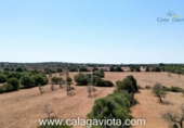 Non-developable land for sale on España, Ses Salines, ref: TR118376 photo