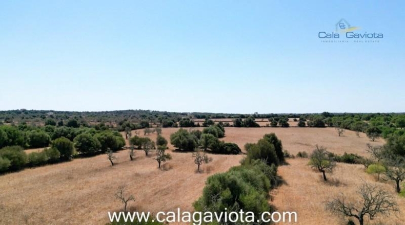 Balearic Islands - Las Salinas - 19000m2