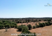 Non-developable land for sale on España, Ses Salines, ref: TR118376 photo