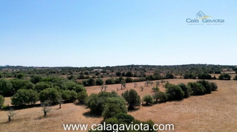 Balearic Islands - Las Salinas - 19000m2