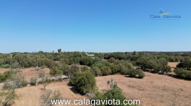 Balearic Islands - Las Salinas - 19000m2