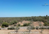 Non-developable land for sale on España, Ses Salines, ref: TR118376 photo