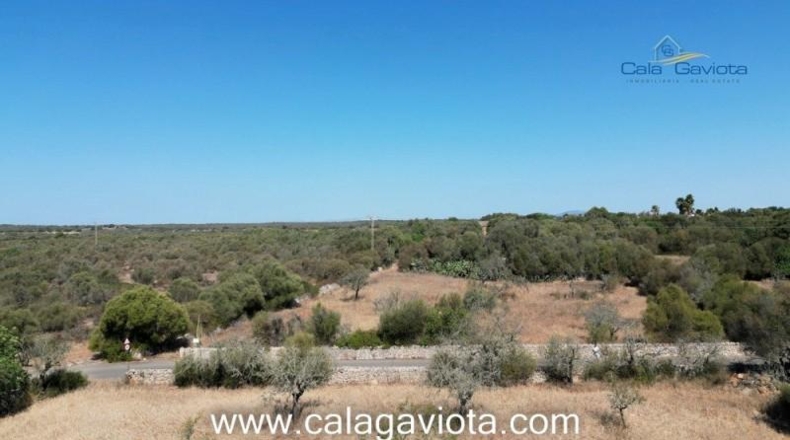 Balearic Islands - Las Salinas - 19000m2