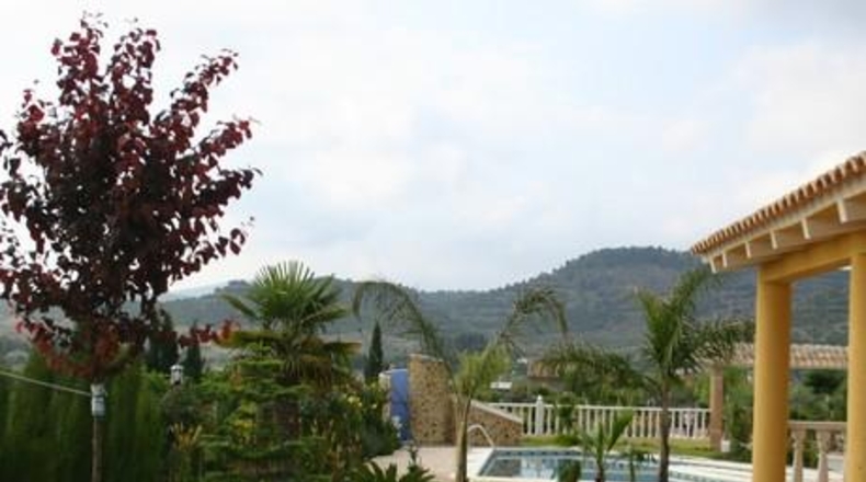 Murcia - Cehegín - 9000m2