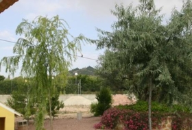 Foto 12