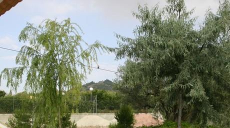 Murcia - Cehegín - 9000m2