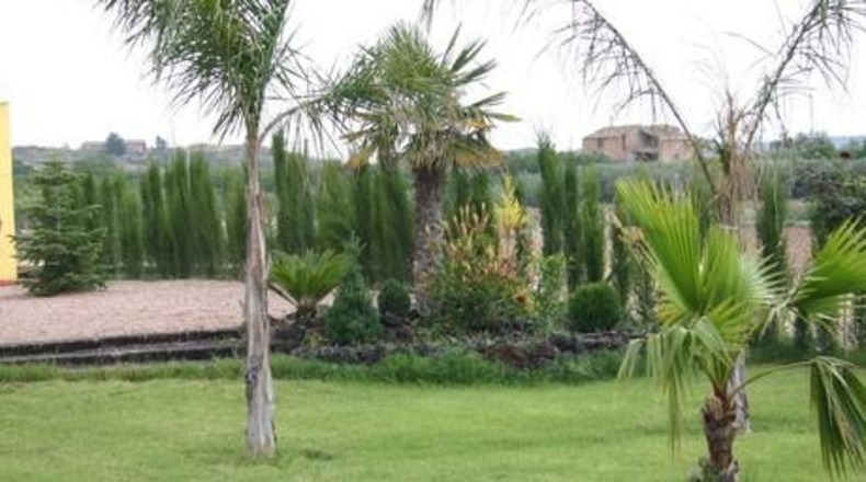 Murcia - Cehegín - 9000m2