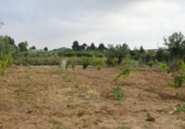 Finca rústica en venda a la España, Cehegín, ref.: TR300495 foto