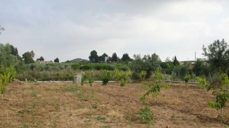 Murcia - Cehegín - 9000m2