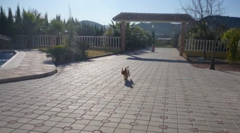 Murcia - Cehegín - 9000m2