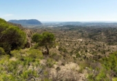 Chalet independiente con terreno en venta en la España, Aspe, ref: TR145236 foto