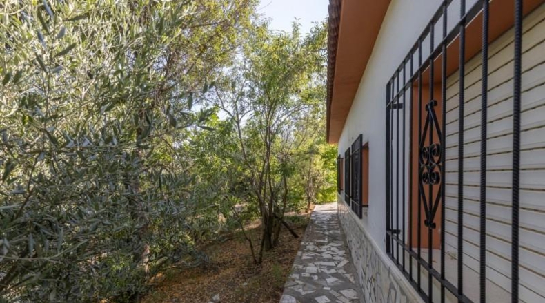 Granada - Montefrío - 55000m2