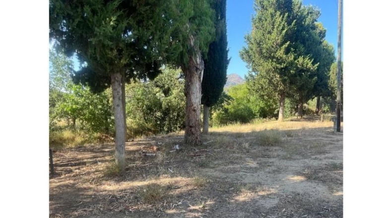 Gerona - Roses - 240m2